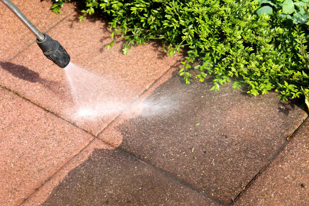 Best Best Pressure Washing Companies  in Choctaw Lake, OH
